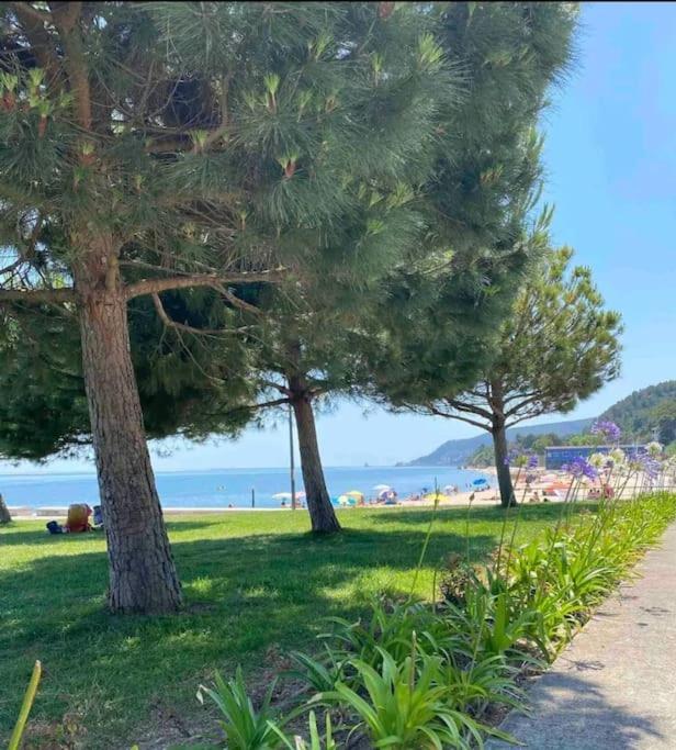 Setubal Rp House Apartamento Perto Do Mar E Comercio Na Luisa Todi 外观 照片